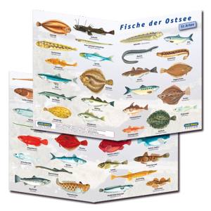 sub-base - 3 x Fischfaltblatt - Ostsee, Rotes Meer, Süßwasser - zur Fischbestimmung