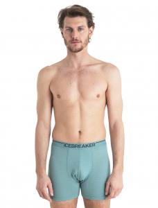 ICEBREAKER - Mens Anatomica Boxershorts - Herrenunterhose aus 150 g/m² Merino