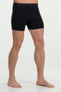 ICEBREAKER Mens Everyday Boxers w Fly