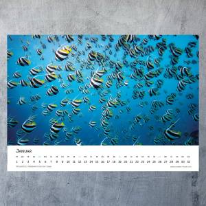 OCEANS HOPE - Fotokalender 2025 - 42 x 30 cm - Jahreskalender, Wandkalender 2025