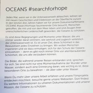 OCEANS HOPE - Fotokalender 2025 - 42 x 30 cm - Jahreskalender, Wandkalender 2025