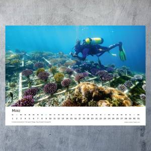 OCEANS HOPE - Fotokalender 2025 - 42 x 30 cm - Jahreskalender, Wandkalender 2025