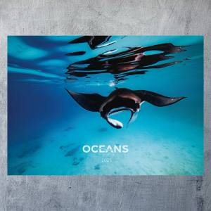 OCEANS HOPE - Fotokalender 2025 - 42 x 30 cm - Jahreskalender, Wandkalender 2025